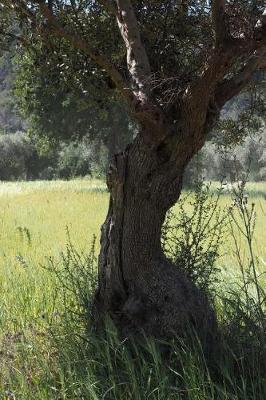 Book cover for A Gnarled Old Olive Tree in a Field Journal