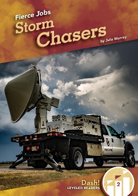 Book cover for Fierce Jobs: Storm Chasers