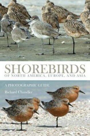 Cover of Shorebirds of North America, Europe, and Asia