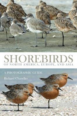 Book cover for Shorebirds of North America, Europe, and Asia