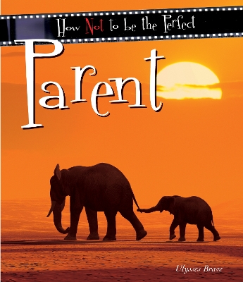 Cover of How Not To Be The Perfect Parent