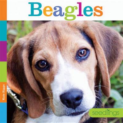 Book cover for Beagles