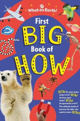 Cover of First Big Book of How