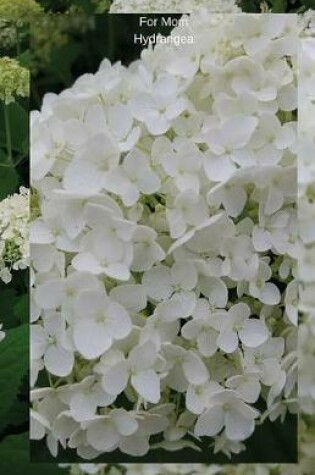 Cover of For Mom Hydrangea