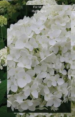 Cover of For Mom Hydrangea