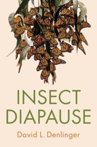 Cover of Insect Diapause