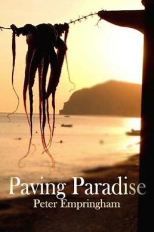 Cover of Paving Paradise