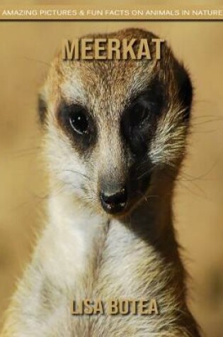 Cover of Meerkat