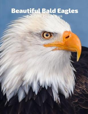 Book cover for Beautiful Bald Eagles Full-Color Picture Book