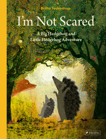 Book cover for I'm Not Scared