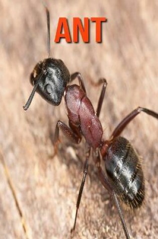 Cover of Ant