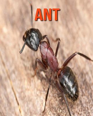 Book cover for Ant