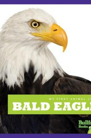 Cover of Bald Eagles