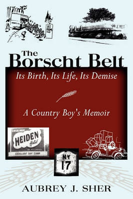 Book cover for The Borscht Belt