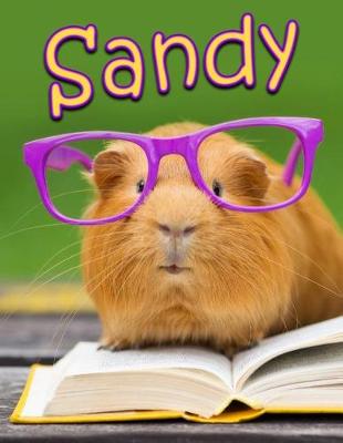 Book cover for Sandy