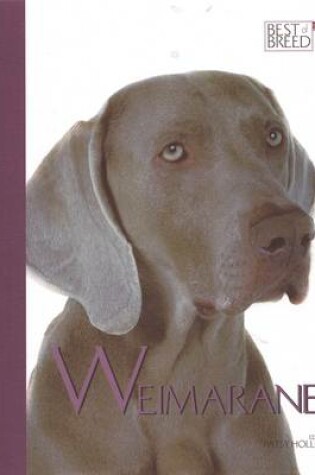 Cover of Weimaraner