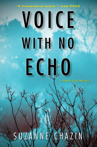 Book cover for Voice with No Echo