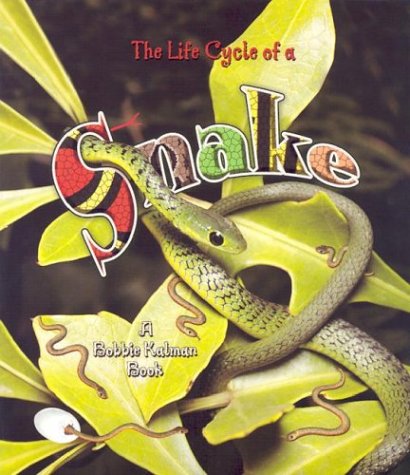 Book cover for The Life Cycle of the Snake