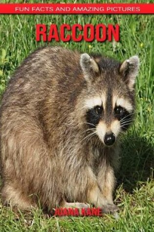 Cover of Raccoon