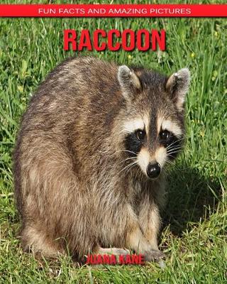 Book cover for Raccoon