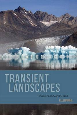 Book cover for Transient Landscapes