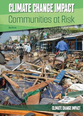 Book cover for Communities at Risk