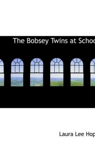 Cover of The Bobsey Twins at School