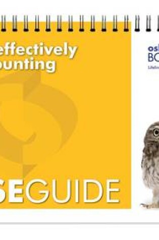 Cover of Work Effectively in Accounting Wise Guide