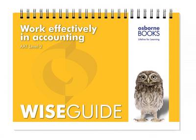 Book cover for Work Effectively in Accounting Wise Guide