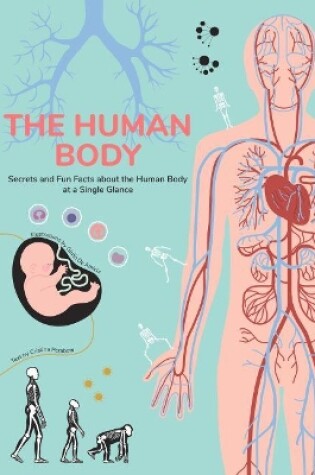 Cover of Human Body