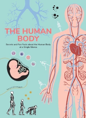 Book cover for Human Body