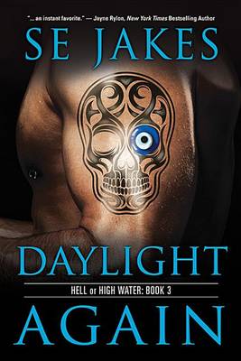 Book cover for Daylight Again
