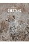 Book cover for Cheetahs