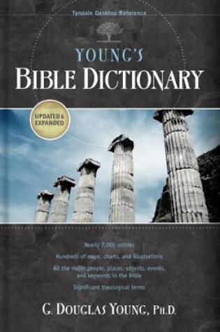 Cover of Young's Bible Dictionary