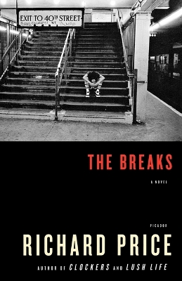 Book cover for The Breaks