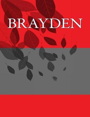 Book cover for Brayden