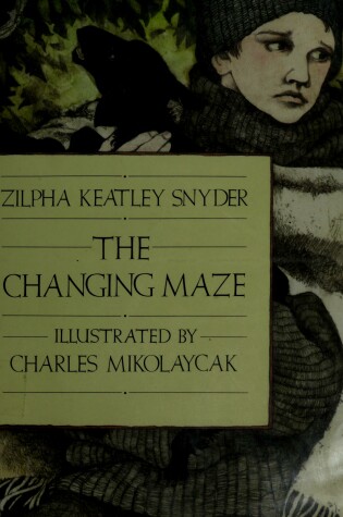 Cover of Changing Maze