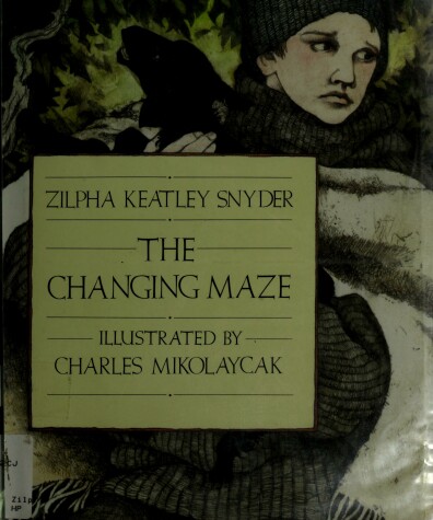 Book cover for Changing Maze