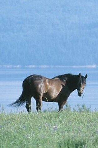 Cover of 2020 Daily Planner Horse Photo Equine Horse Lake Mountain Scene 388 Pages