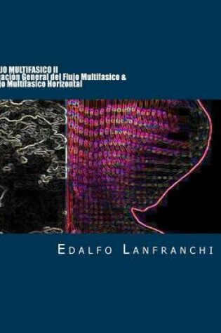 Cover of Flujo Multifasico II