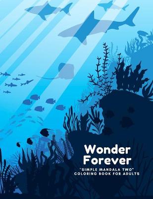 Book cover for Wonder Forever