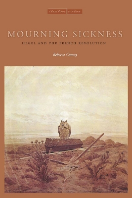 Book cover for Mourning Sickness