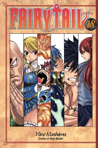 Book cover for Fairy Tail 18