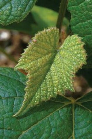 Cover of Farm Journal Concord Grape Leaf