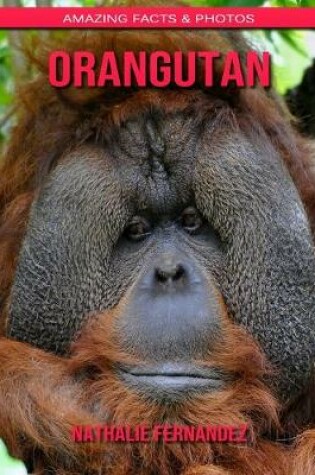 Cover of Orangutan