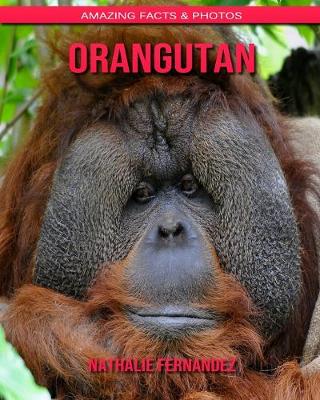 Book cover for Orangutan