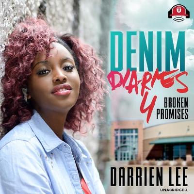 Cover of Denim Diaries 4