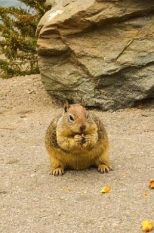 Cover of Ground Squirrel on the Beach in California Journal