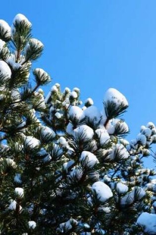 Cover of Snow Covered Fir Trees in Idaho