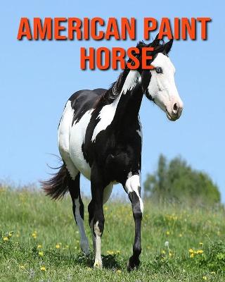 Book cover for American Paint Horse